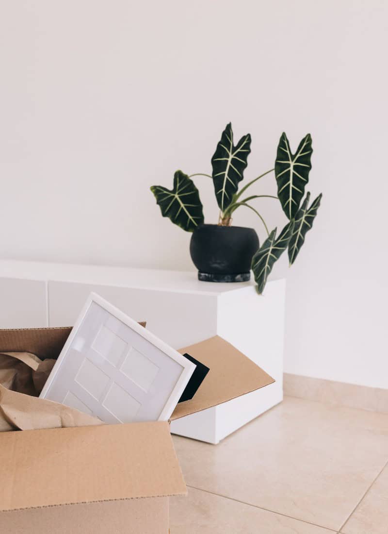 white wall with plant on a white bench. a cardboard box opened on the floor with a frame sticking out. moving tips and ideas