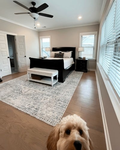 stylish master bedroom refresh starting with a black sleigh bed and grey walls.