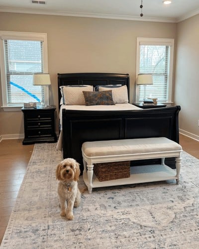 master bedroom with grey walls, black sleigh bed on a blue and grey rug. buff colored cavapoo dog sitting on floor at end of bed.