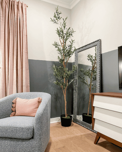 budget-friendly cozy master bedroom upgrade walls half painted grey. faux olive tree in the background. blue club chair with pink pillow placed in front of window with pink velvet curtains.
