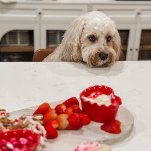 Make an Easy Valentine’s Charcuterie Board for Kids